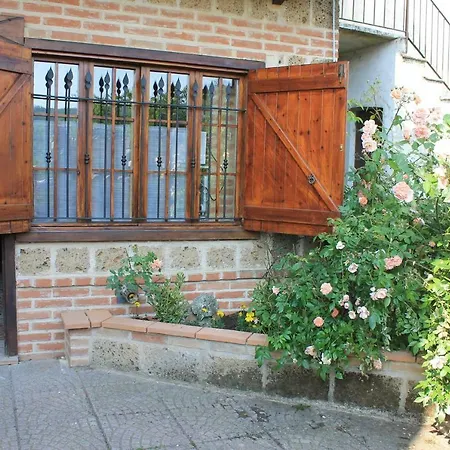 Grignolino Camino