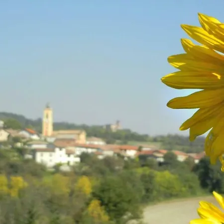 Grignolino